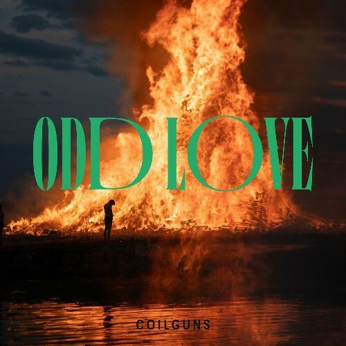  Coilguns - Odd Love (2024) 