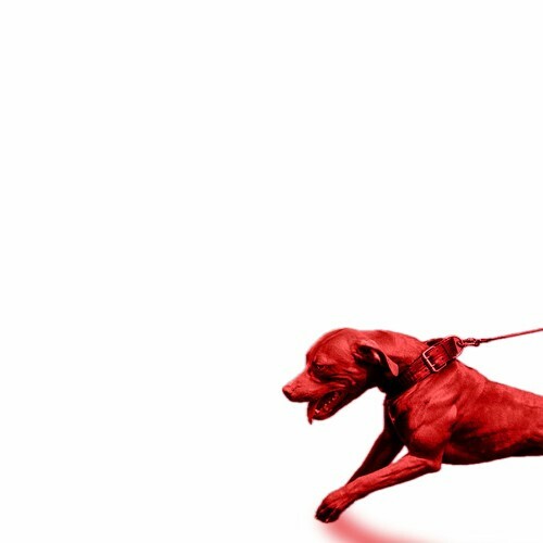 JasonMartin, Mike & Keys & ACTheProducer - A Hit Dog Gon Holla (Instrumentals) (2026) JasonMartin, Mike & Keys & ACTheProducer - A Hit Dog Gon Holla (Instrumentals) (2026)