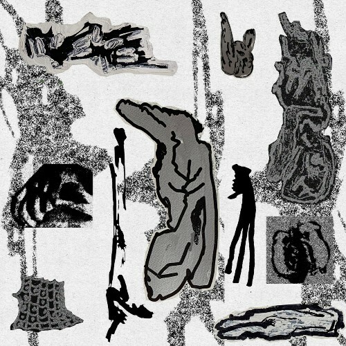  Data Assault - GRIS (2025) 