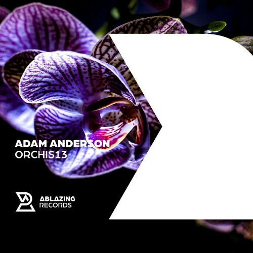  Adam Anderson - Orchis13 (2026) 