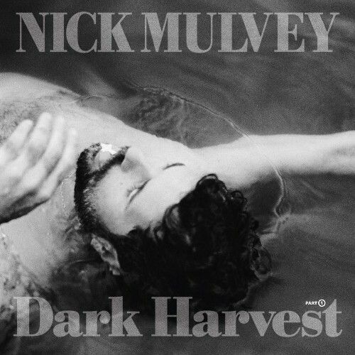  Nick Mulvey - Dark Harvest, Pt. 1 (2025) 