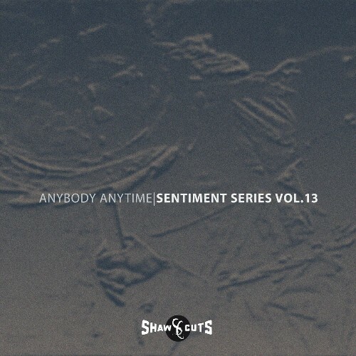  Anybody Anytime - Sentiment Series Vol.13 (2024) 