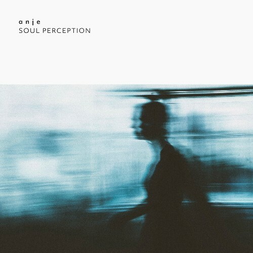  a n j e - Soul Perception (2024) 