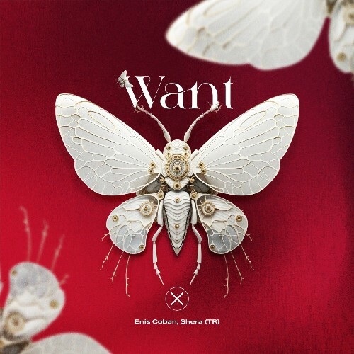  Enis Coban, Shera (TR) - Want (2025) 