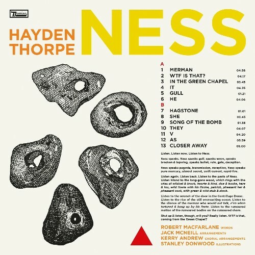 VA -  Hayden Thorpe - Ness (2024) [MP3] MEW6MKB_o