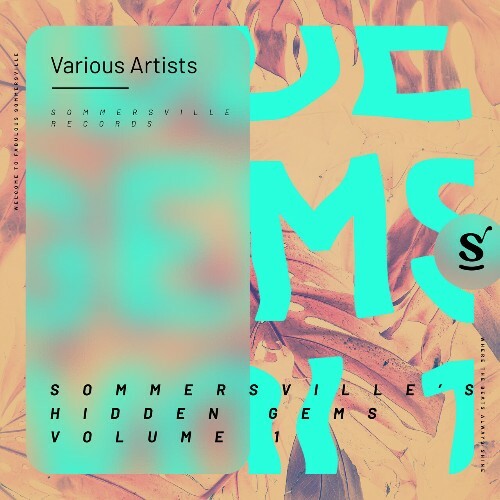 VA - Sommersville's Hidden Gems Vol 1 (2023) (MP3)