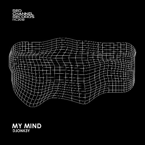  Djonk3y - My Mind (2024) 