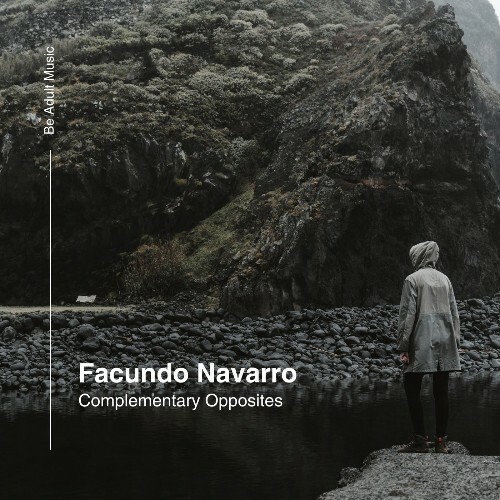  Facundo Navarro - Complementary Opposites (2025) 