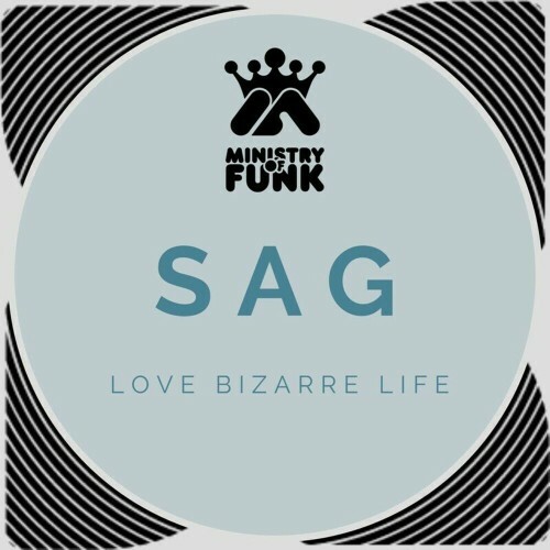  Ministry Of Funk - Love Bizarre Life (2024) 