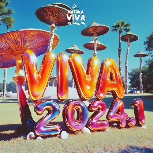  Viva 2024.1 (2025) 