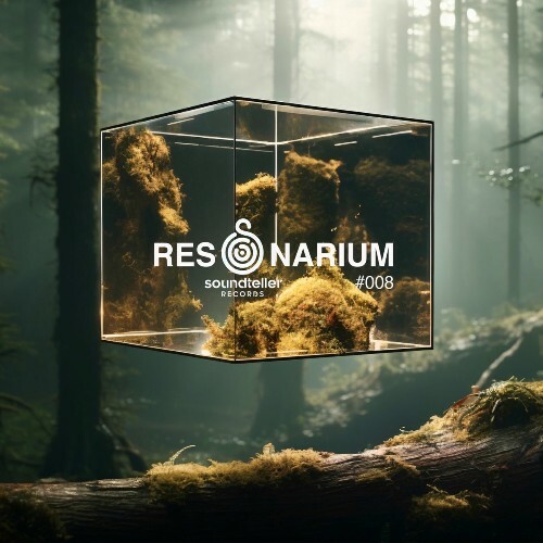  Resonarium #008 (2025) 