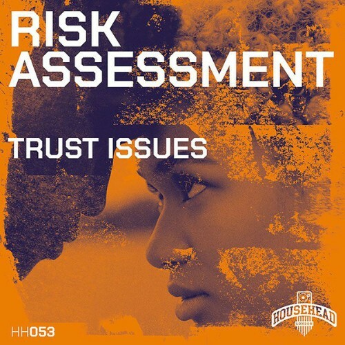  Risk Assessment - Trust Issues (2025) 