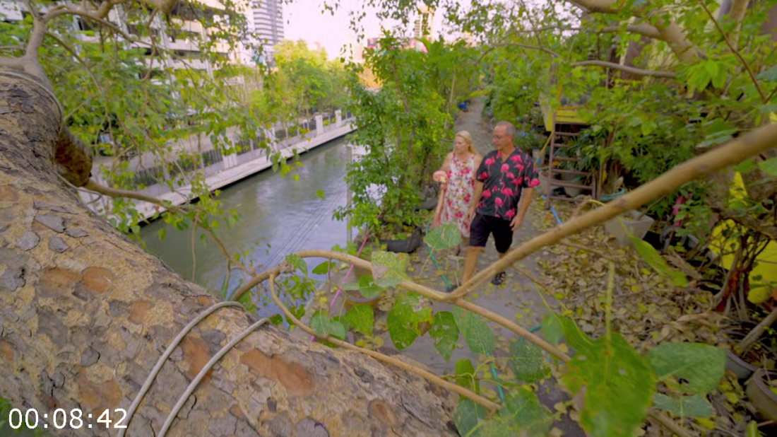 [Image: ME17WHAG_o.png]