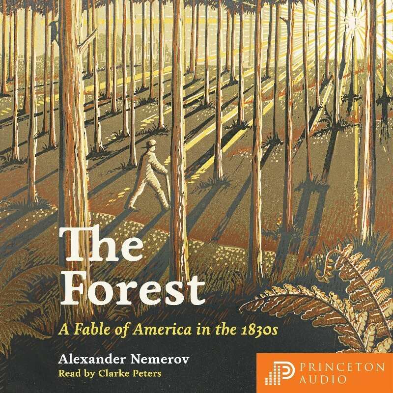 The Forest A Fable Of America In The 1830s