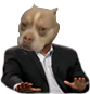 ME15FMJ0_o.png
