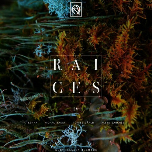 NTSRAI004 - Raices IV (2024)