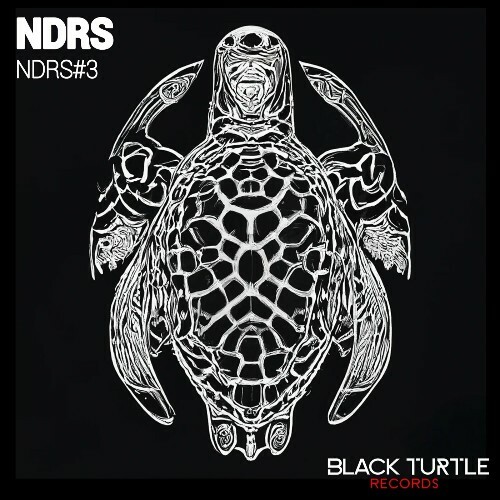  NDRS - Ndrs#3 (2024) 