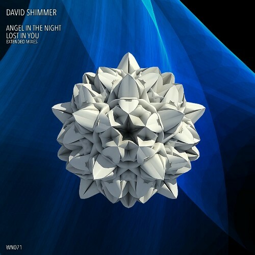  David Shimmer - Angel in the Night (2024) 