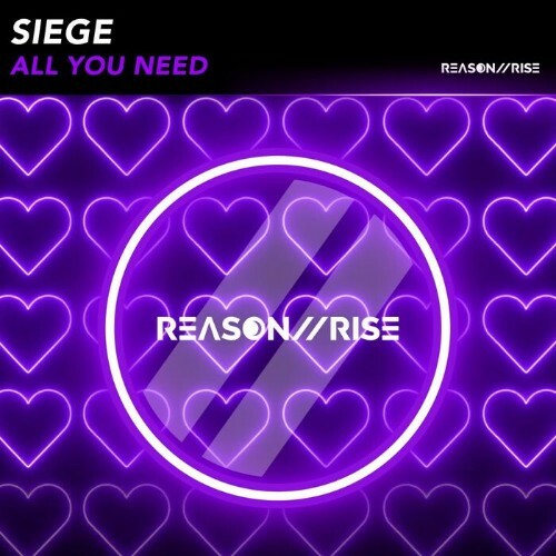  Siege (Nz) - All You Need (2025) 