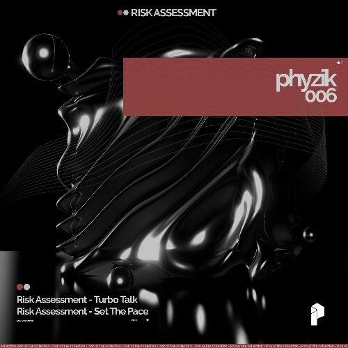 VA -  Risk Assessment - Phyzik 006 (2024) [MP3] MEVK9Q4_o