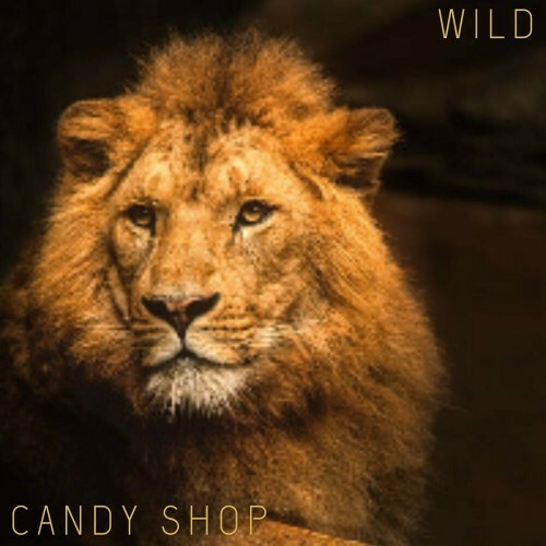  Candy Shop - Wild (2024) 