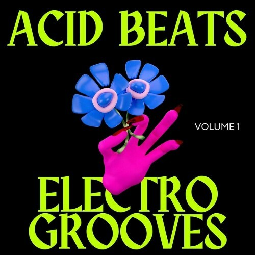  Acid Beats Electro Grooves, Vol.1 (2024) 