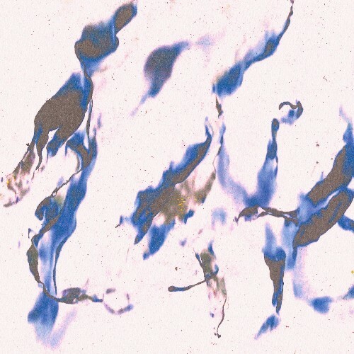  Sonn Ten - Altered Forms (2025) 