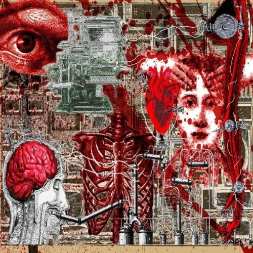  Comply - Built To Bleed (2026) 