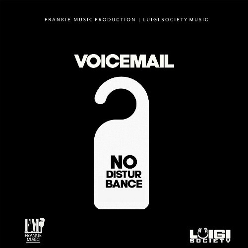 Voicemail - No Disturbance (2024)