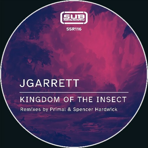 VA -  JGarrett - Kingdom of the Insect (2024) [MP3] MEWW1Q8_o