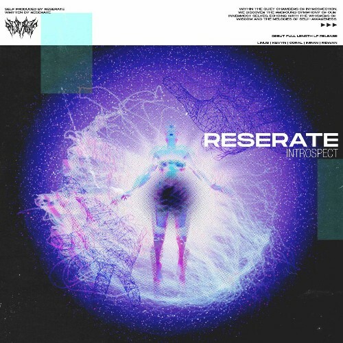 VA - Reserate - Introspect (2024) (MP3) MEVDZDB_o