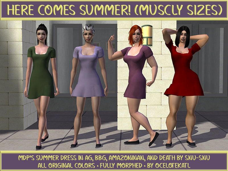 Here Comes Summer! (Muscly Sizes).jpg
