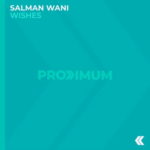  Salman Wani - Wishes (2025) 