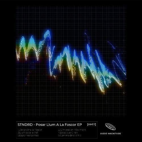  stndrd - Posar Llum A La Foscor (2026) 