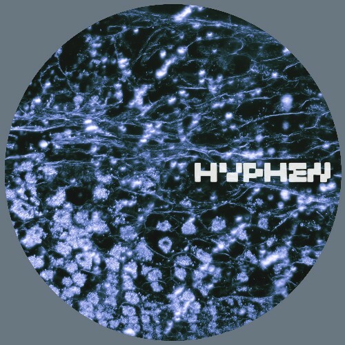  Vauna - Historic Archetype (2025) 