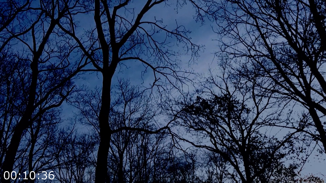 [Kép: ME1B5O1P_o.png]