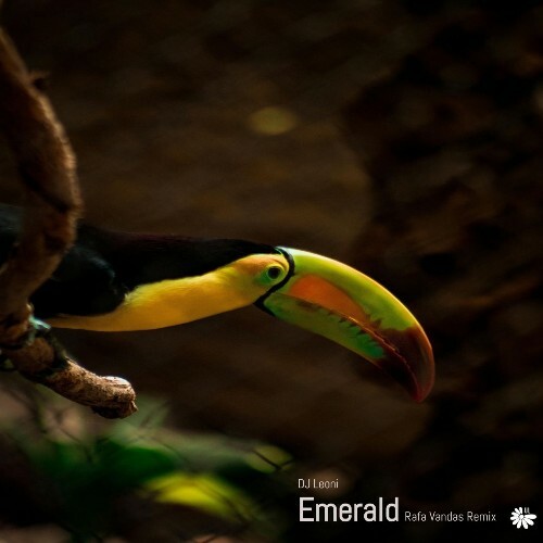  DJ Leoni - Emerald (Rafa Vandas Remix) (2026) 