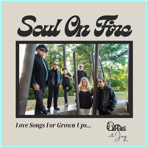 [Image: ME17IE30_o.png]