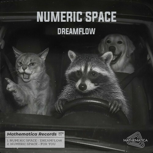  Numeric Space - Dreamflow (2025) 
