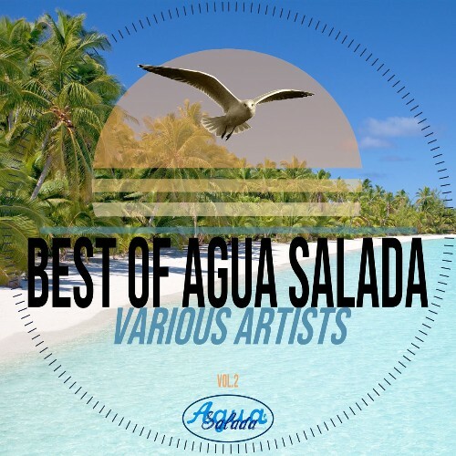 Best of Agua Salada Records Vol. 2 (2026) Best of Agua Salada Records Vol. 2 (2026)