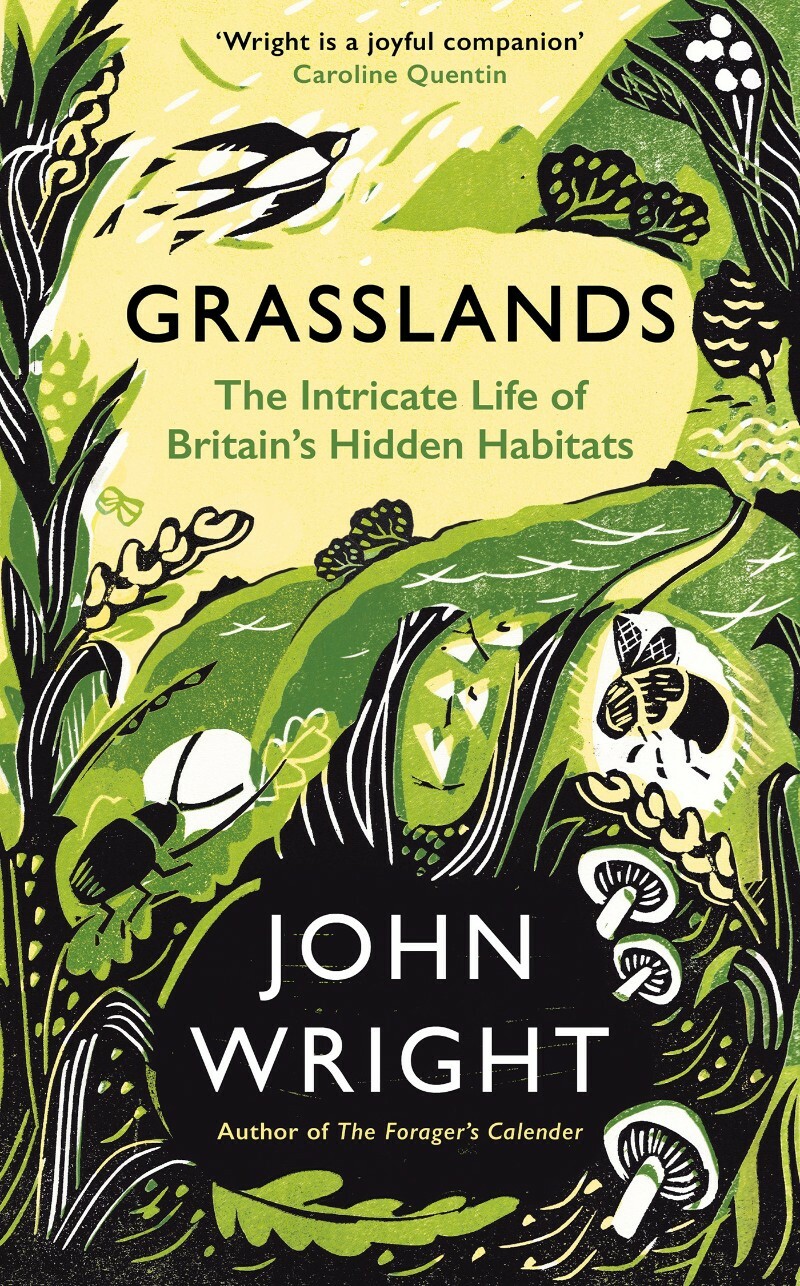 Grasslands The Intricate Life Of Britain's Hidden Habitats (John Wright)