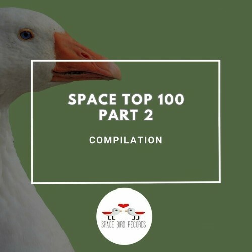  Space Bird - Space Einhundert (2024) 
