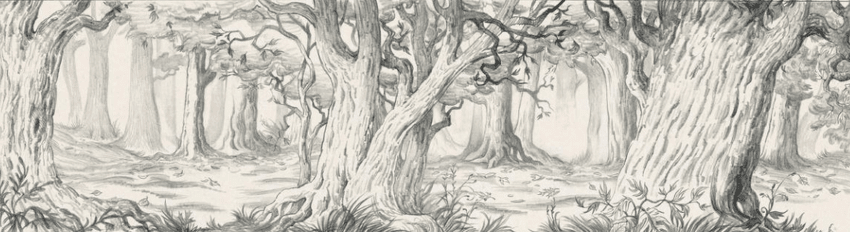 A pencil sketch of the inside of a forest, filled with detailed trees.