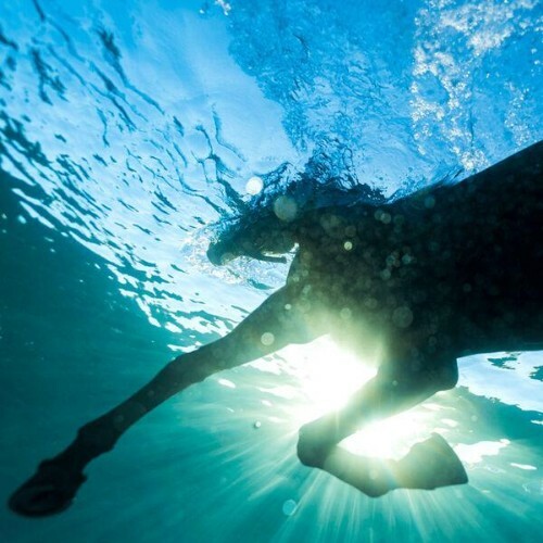  Dream Nails - You Wish (2026) 