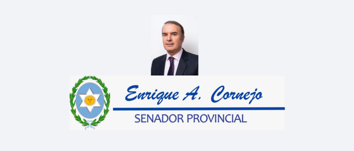 Senador Provincial