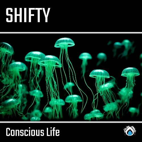  Shifty - Conscious Life (2024) 
