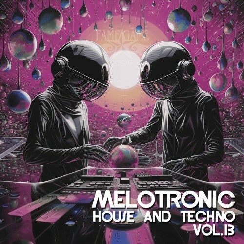  Melotronic, Vol. 13 (House and Techno) (2024)  MEV6NOE_o