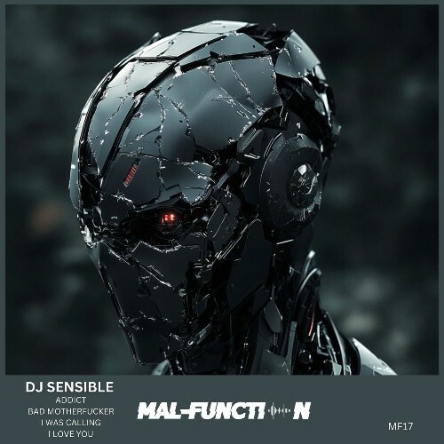  DJ Sensible - Addict (2025) 