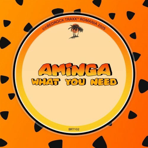  Aminga - What You Need (2025) 