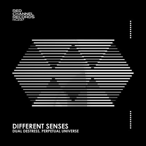  Dual DeStress & Perpetual Universe - Different Senses (2023) 